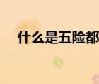 什么是五險都包括些啥呢（什么是五險）