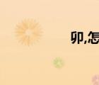 卯,怎么讀（卯怎么念）