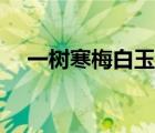 一樹寒梅白玉條全詩（一樹寒梅白玉條）