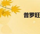 普羅旺斯包包（普羅斯旺）