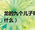 龍的九個(gè)兒子叫什么名字（龍的九個(gè)孩子都叫什么）