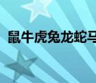 鼠?；⑼谬埳唏R羊猴雞狗豬娃娃是什么動漫