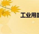 工業(yè)用鹽化學(xué)式（工業(yè)用鹽）