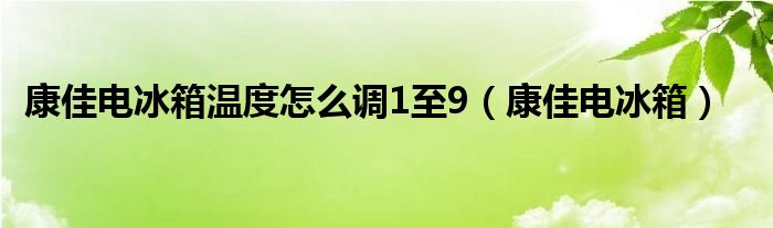 康佳電冰箱溫度怎么調(diào)1至9（康佳電冰箱）