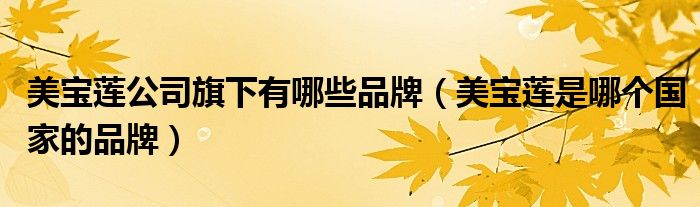 美寶蓮公司旗下有哪些品牌（美寶蓮是哪個國家的品牌）