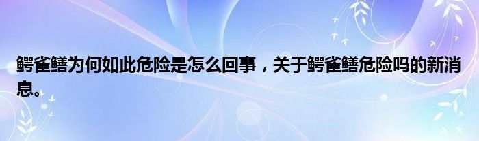 鱷雀鱔為何如此危險(xiǎn)是怎么回事，關(guān)于鱷雀鱔危險(xiǎn)嗎的新消息。