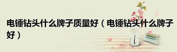 電錘鉆頭什么牌子質(zhì)量好（電錘鉆頭什么牌子好）