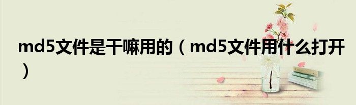 md5文件是干嘛用的（md5文件用什么打開）