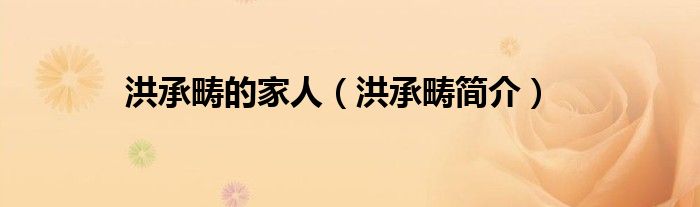 洪承疇的家人（洪承疇簡介）