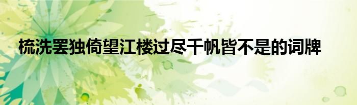 梳洗罷獨(dú)倚望江樓過盡千帆皆不是的詞牌