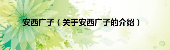 安西廣子（關(guān)于安西廣子的介紹）