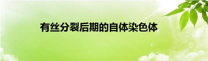 有絲分裂后期的自體染色體
