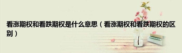看漲期權(quán)和看跌期權(quán)是什么意思（看漲期權(quán)和看跌期權(quán)的區(qū)別）