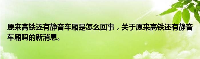 原來高鐵還有靜音車廂是怎么回事，關(guān)于原來高鐵還有靜音車廂嗎的新消息。