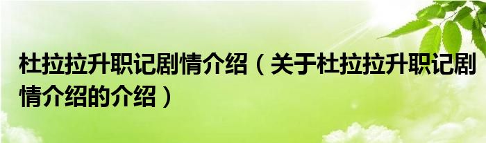 杜拉拉升職記劇情介紹（關(guān)于杜拉拉升職記劇情介紹的介紹）