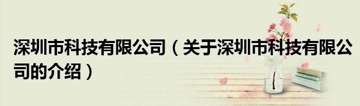 深圳市科技有限公司（關(guān)于深圳市科技有限公司的介紹）