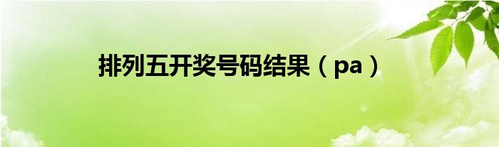 排列五開(kāi)獎(jiǎng)號(hào)碼結(jié)果（pa）
