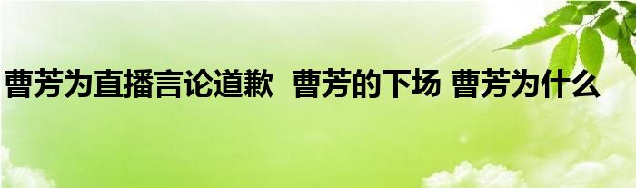 曹芳為直播言論道歉 曹芳的下場 曹芳為什么