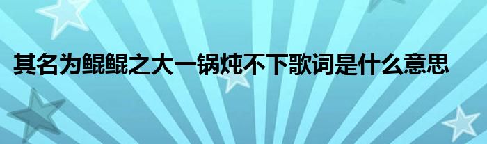 其名為鯤鯤之大一鍋燉不下歌詞是什么意思