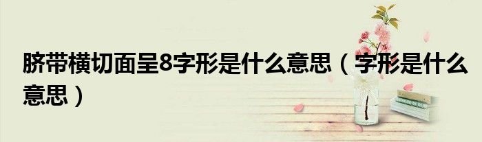 臍帶橫切面呈8字形是什么意思（字形是什么意思）