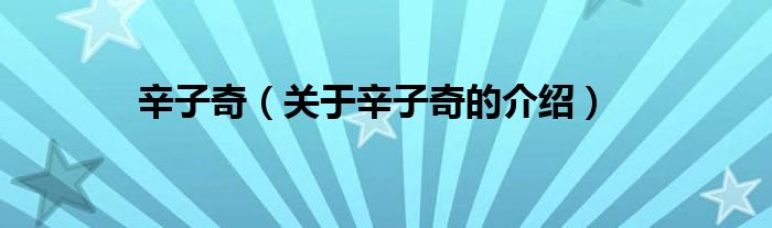 辛子奇（關(guān)于辛子奇的介紹）