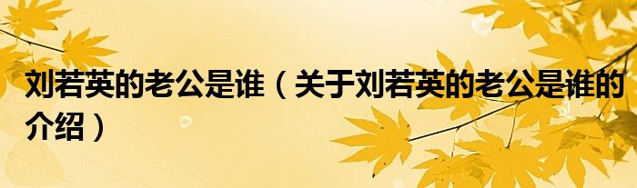 劉若英的老公是誰（關(guān)于劉若英的老公是誰的介紹）