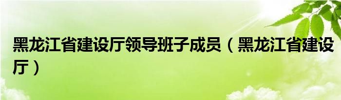 黑龍江省建設(shè)廳領(lǐng)導班子成員（黑龍江省建設(shè)廳）