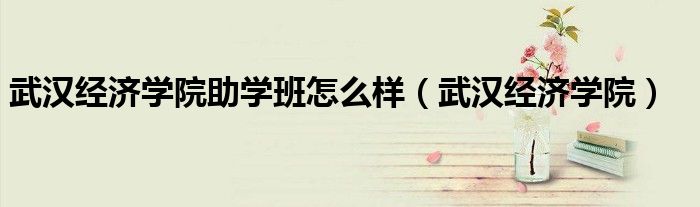 武漢經(jīng)濟(jì)學(xué)院助學(xué)班怎么樣（武漢經(jīng)濟(jì)學(xué)院）