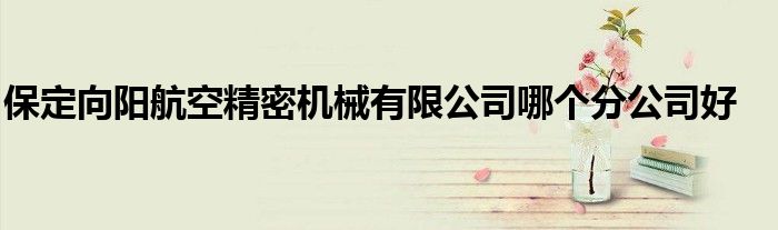 保定向陽航空精密機械有限公司哪個分公司好
