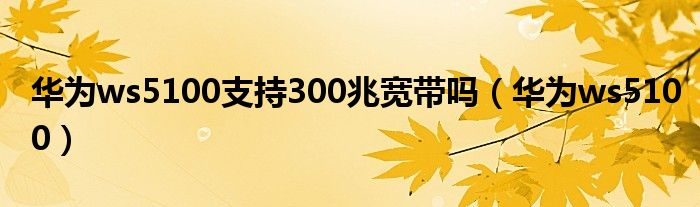 華為ws5100支持300兆寬帶嗎（華為ws5100）