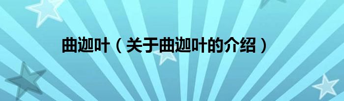 曲迦葉（關(guān)于曲迦葉的介紹）