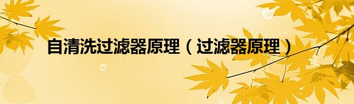 自清洗過濾器原理（過濾器原理）