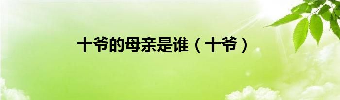 十爺?shù)哪赣H是誰（十爺）