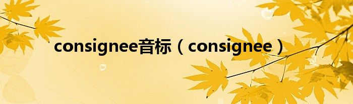 consignee音標(biāo)（consignee）