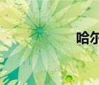 哈爾濱銀行網(wǎng)銀官網(wǎng)
