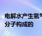 電解水產(chǎn)生氫氣和氧氣說(shuō)明水是由氫分子和氧分子構(gòu)成的