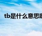 tb是什么意思啊網(wǎng)絡用語（tb是什么意思）