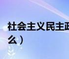 社會主義民主政治的本質(zhì)（社會主義本質(zhì)是什么）