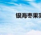 銀海棗果實(shí)的藥用功效（銀海棗）