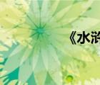 《水滸傳》歷史面貌描述