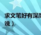 求文筆好有深度的小說（文筆好的有深度的小說）