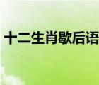 十二生肖歇后語小菜一碟（十二生肖歇后語）