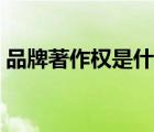 品牌著作權是什么意思（著作權是什么意思）