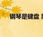 鋼琴是鍵盤 黑管是什么（黑管是什么）