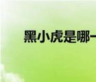 黑小虎是哪一部（黑小虎傳奇的劇情）