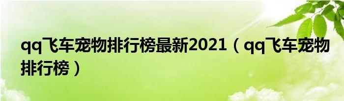 qq飛車寵物排行榜最新2021（qq飛車寵物排行榜）
