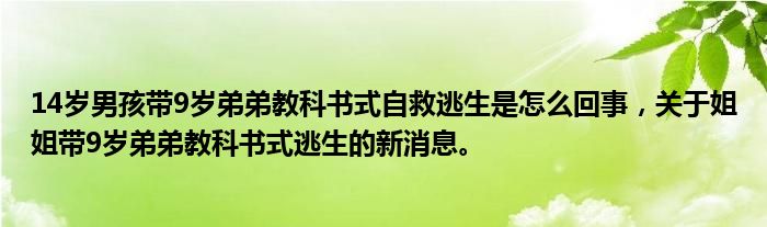14歲男孩帶9歲弟弟教科書式自救逃生是怎么回事，關(guān)于姐姐帶9歲弟弟教科書式逃生的新消息。