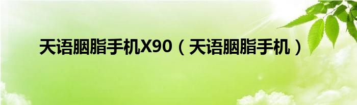 天語胭脂手機X90（天語胭脂手機）