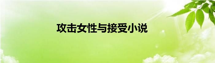 攻擊女性與接受小說