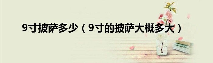 9寸披薩多少（9寸的披薩大概多大）